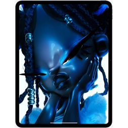 Apple 13" iPad Pro (M4) 2TB Cellular Space Black (fekete) - Nanotexturált üveg