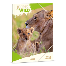 Ars Una Icons of the Wild-Lions 25 (5504) A4 gumis mappa