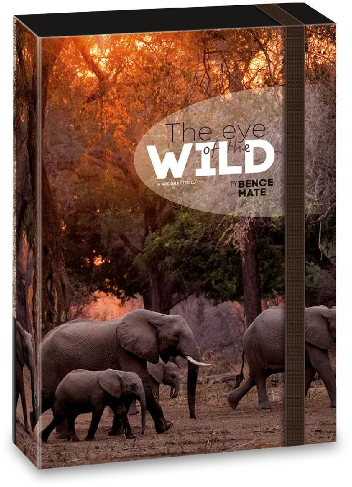 Ars Una The eyes of the wild elephant 5217 A4 füzetbox