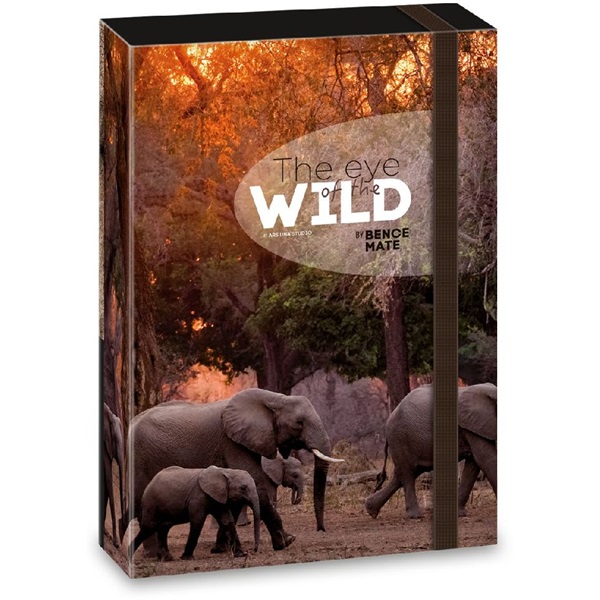 Ars Una The eyes of the wild elephant 5217 A5 füzetbox
