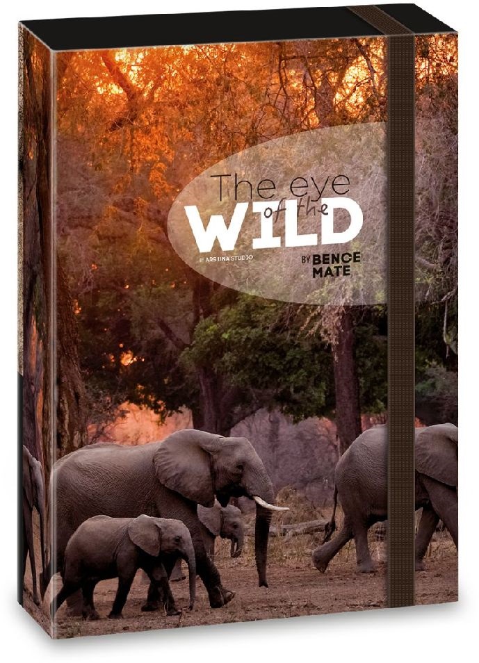 Ars Una The eyes of the wild elephant 5217 A5 füzetbox