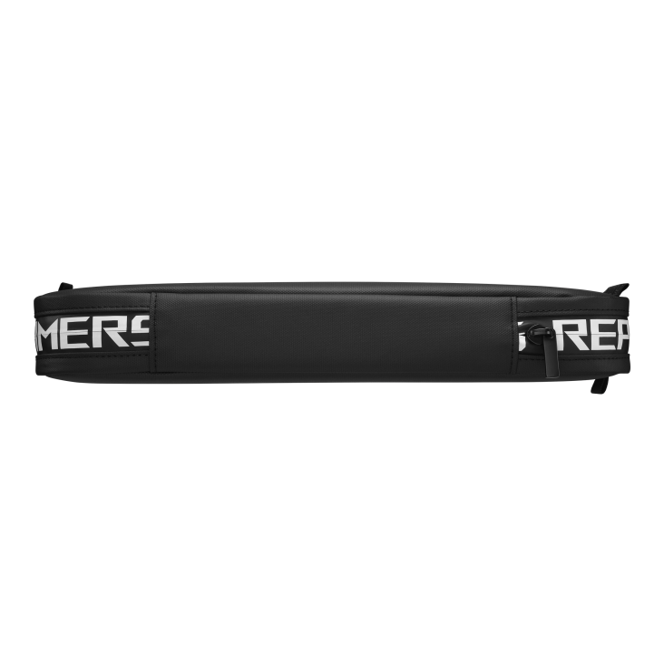 Asus ROG Ally Travel Case