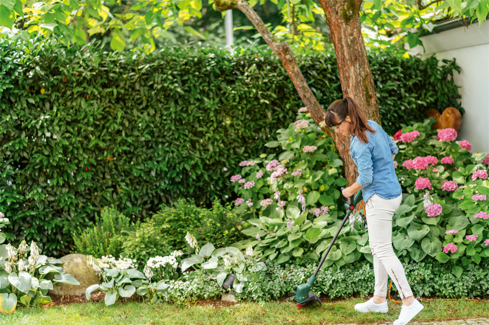 Bosch EasyGrassCut 23 elektromos fűszegélynyíró