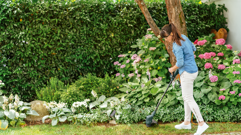 Bosch EasyGrassCut 26 elektromos fűszegélynyíró
