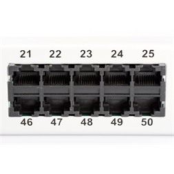DIGITUS DN-91350-1 50port 19" 1U CAT3 ISDN árnyékolatlan Patch Panel