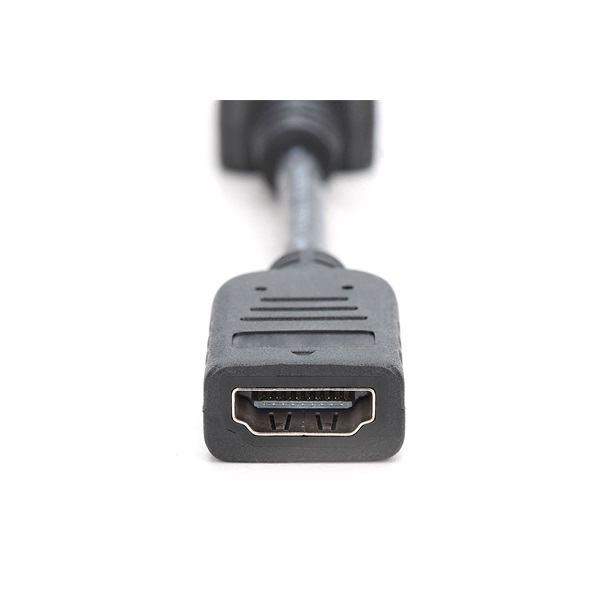 DIGITUS Full HD 60Hz 1.1a DisplayPort - HDMI type A Adapter 0,15m