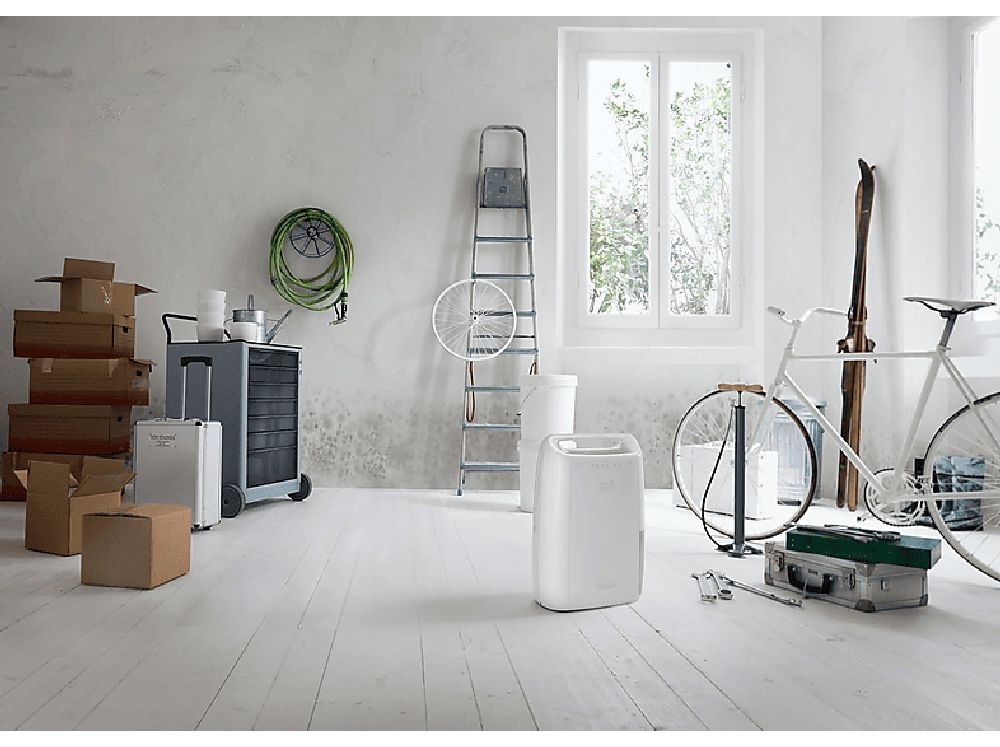 DeLonghi DEX212SF párátlanító