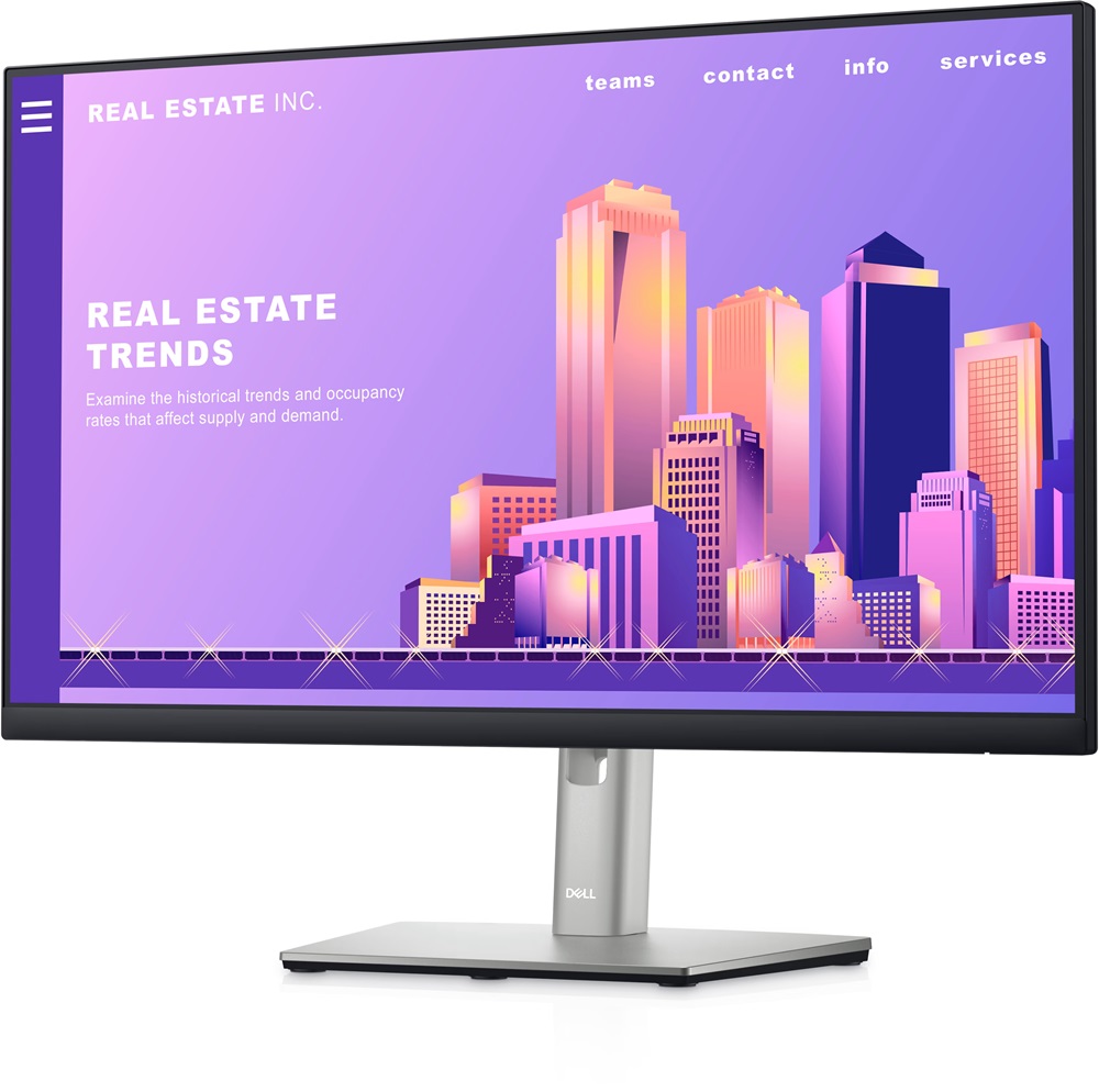 Dell 24" P2422H VGA, HDMI/DP LED monitor