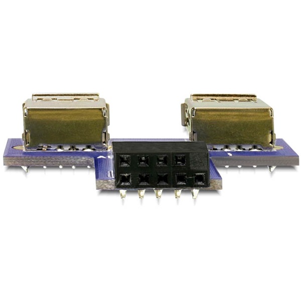 Delock 41824 USB 9tűs 2,54mm anya > 2xUSB 2.0 anya header adapter