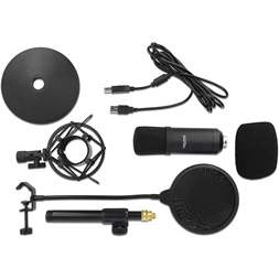 Delock 66300 Professzionális kondenzátor mikrofon-szett USB csatlakozóval podcasting-hoz és lejátszáshoz
