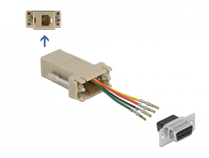 Delock 66770 D-Sub 9-tűs anya - RJ11/RJ14 6P/4C anya összekötő adapter