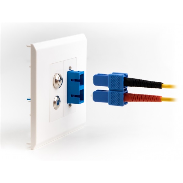 Delock 81374 Easy 45 45x22,5 mm 10db-os SC Duplex téglalap kivágású modullemez