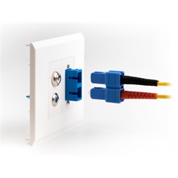 Delock 81374 Easy 45 45x22,5 mm 10db-os SC Duplex téglalap kivágású modullemez