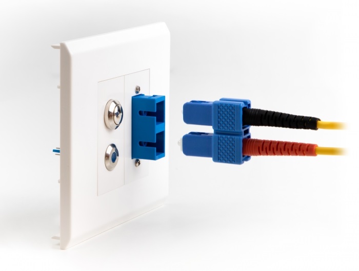 Delock 81374 Easy 45 45x22,5 mm 10db-os SC Duplex téglalap kivágású modullemez