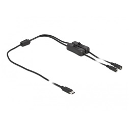 Delock 86800 1m USB-C apa - 2xDC5,5x2,1mm anya max. 10W kapcsolós kábel