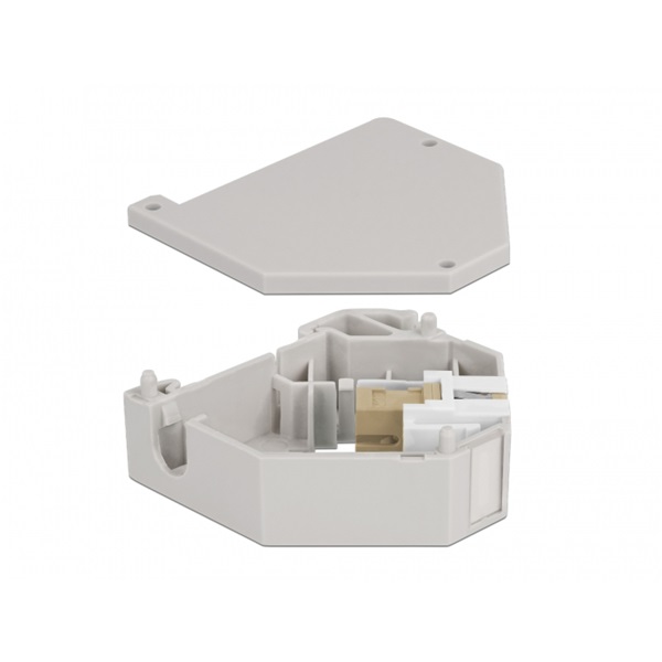 Delock 87167 Keystone SC Simplex anya bézs DIN sínre szerelhető adapter