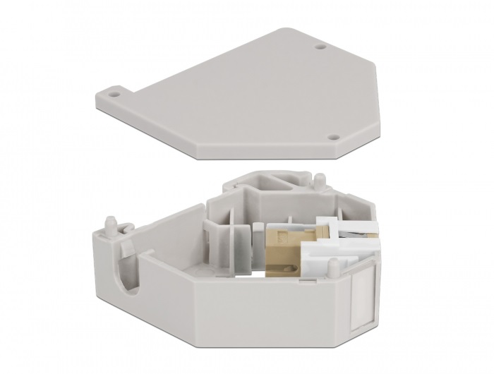 Delock 87167 Keystone SC Simplex anya bézs DIN sínre szerelhető adapter