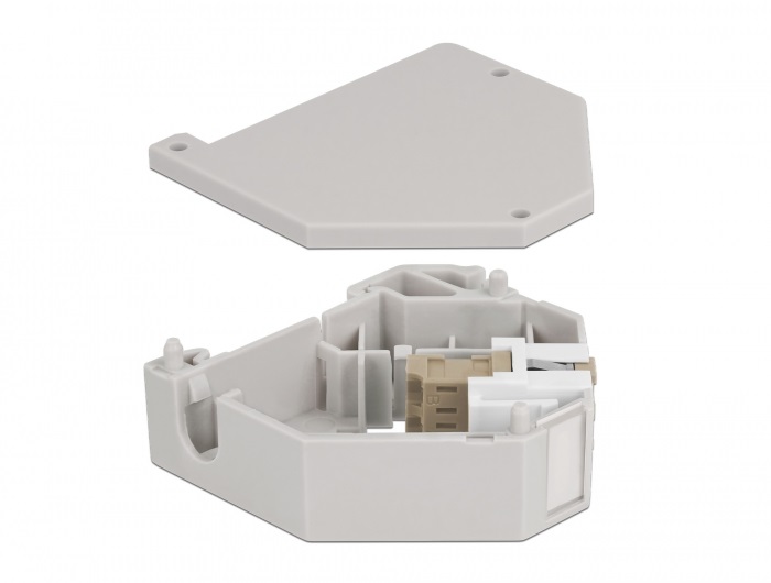 Delock 87193 Keystone LC Duplex anya bézs DIN sínre szerelhető adapter
