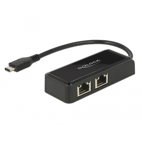 Delock 63927 Adapter SuperSpeed USB (USB 3.1 Gen 1) USB Type-C  csatlakozódugóval > 2 x Gigabit LAN 10/100