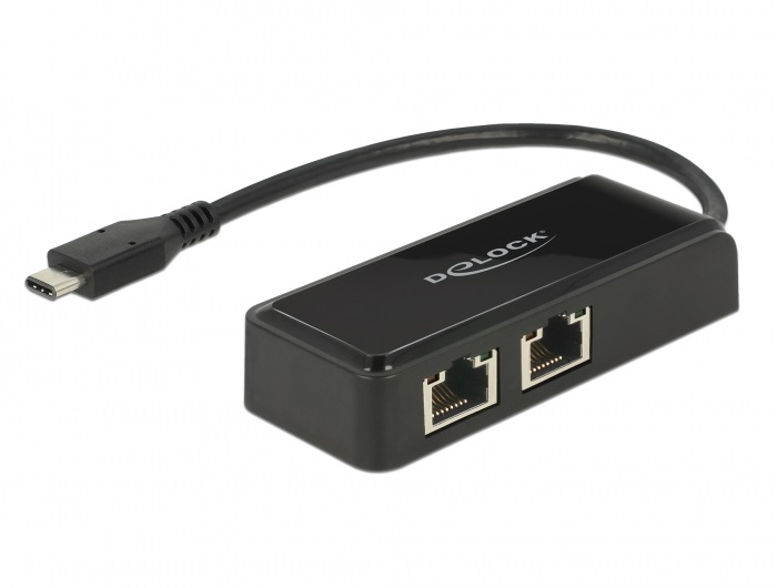 Delock 63927 Adapter SuperSpeed USB (USB 3.1 Gen 1) USB Type-C  csatlakozódugóval > 2 x Gigabit LAN 10/100