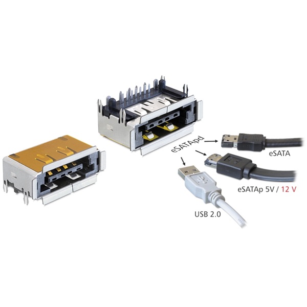 Delock 65297 csatlakozó eSATApd anya eSATA + USB 2.0 5 V / 12 V