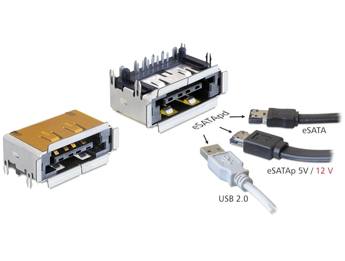 Delock 65297 csatlakozó eSATApd anya eSATA + USB 2.0 5 V / 12 V