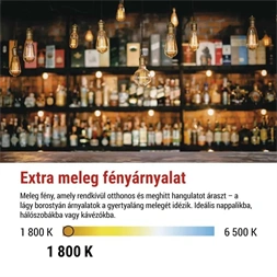 EMOS Z50B11 LED DECO "BURGEON" CG125A 4.5W 24W 240lm E27 izzó