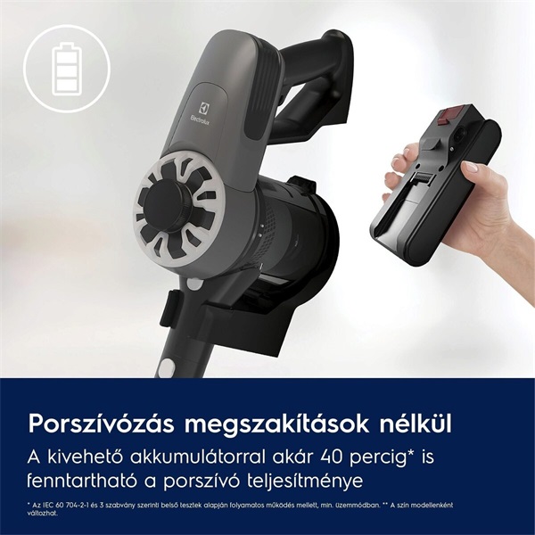 Electrolux EP31CB21GP Clean 300 vezeték nélküli álló porszívó