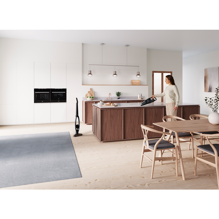Electrolux WQ61-42GG Well Q6 fekete akkumulátoros kézi porszívó