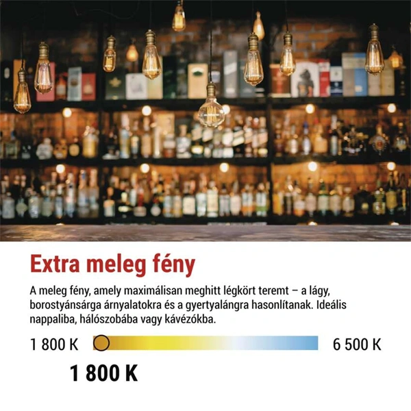 Emos Z58311 LED DECO "SMOKED" G125 4.5W 19W 180lm E27 izzó