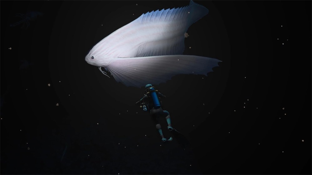 Endless Ocean Luminous Nintendo Switch játékszoftver