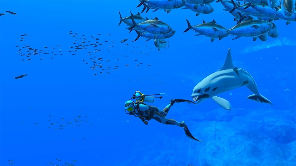Endless Ocean Luminous Nintendo Switch játékszoftver