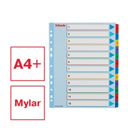Esselte A4 extra széles 1-12 újraírható regiszter