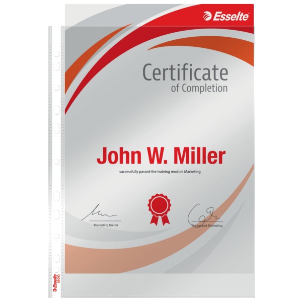 Esselte A4 lefűzhető 105mikronos 100db víztiszta genotherm