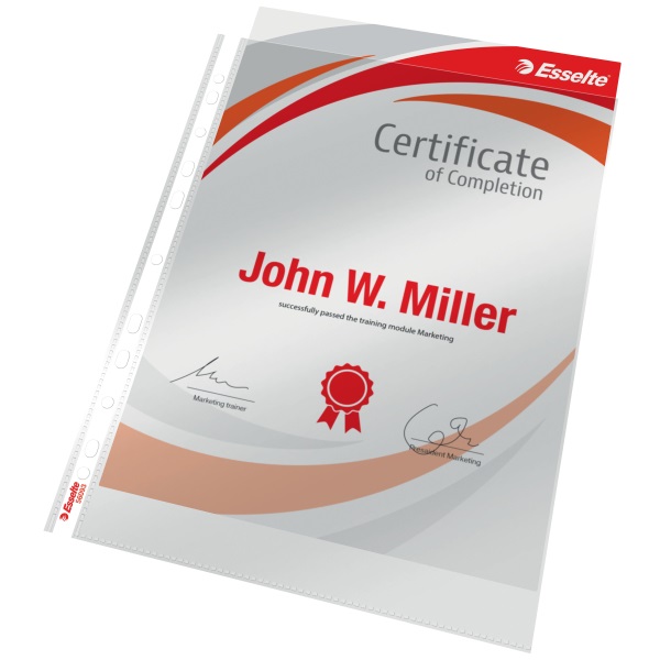 Esselte A4 lefűzhető 105mikronos 100db víztiszta genotherm