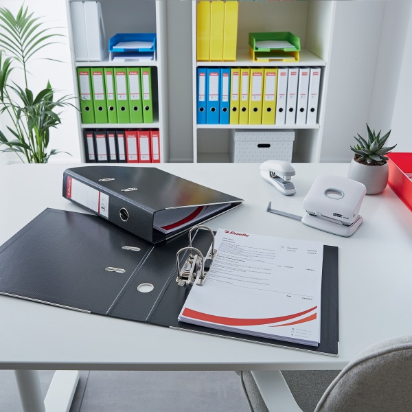 Esselte Standard Vivida A4 5cm fehér iratrendező