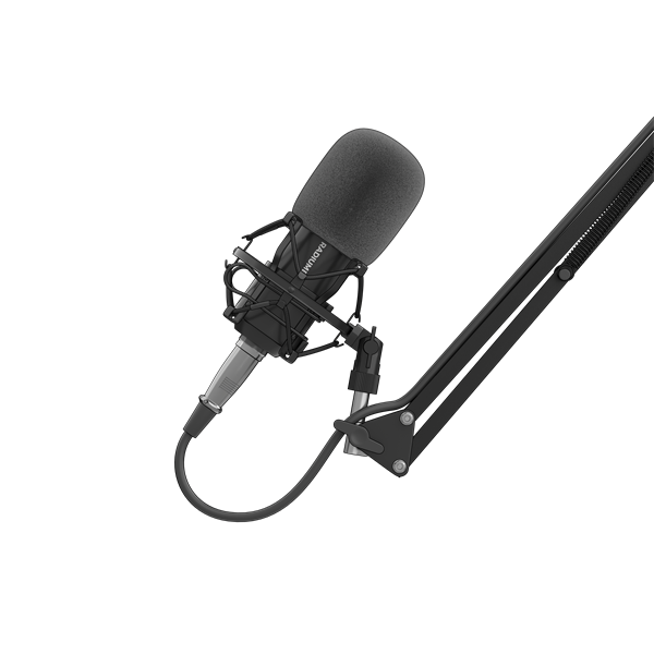 Genesis NGM-1695 Radium 300 XLR fekete stúdió mikrofon