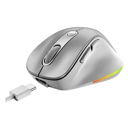 Genius Ergo 9000S PRO vezeték nélküli Ezüst egér