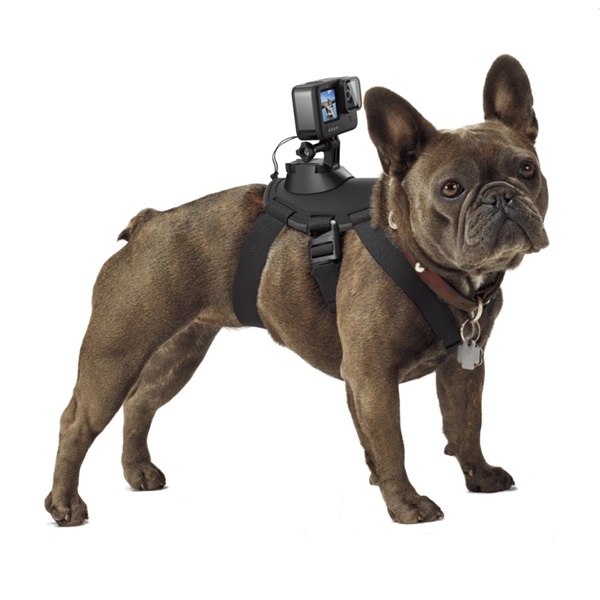 GoPro ADOGM-001 Kutyahámhoz tervezett GoPro Csatlakozás