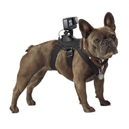 GoPro ADOGM-001 Kutyahámhoz tervezett GoPro Csatlakozás
