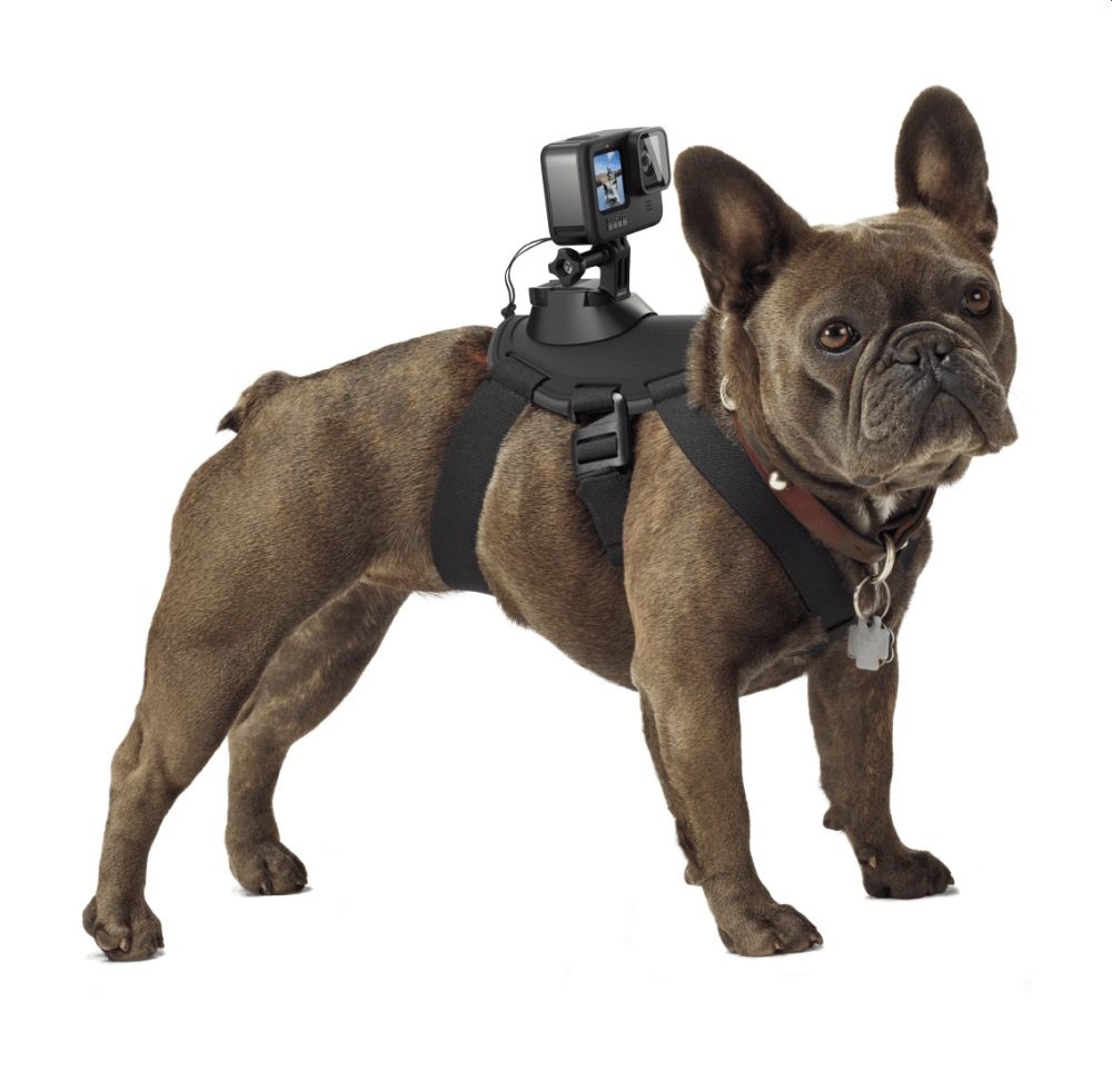 GoPro ADOGM-001 Kutyahámhoz tervezett GoPro Csatlakozás