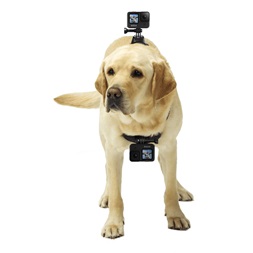 GoPro ADOGM-001 Kutyahámhoz tervezett GoPro Csatlakozás