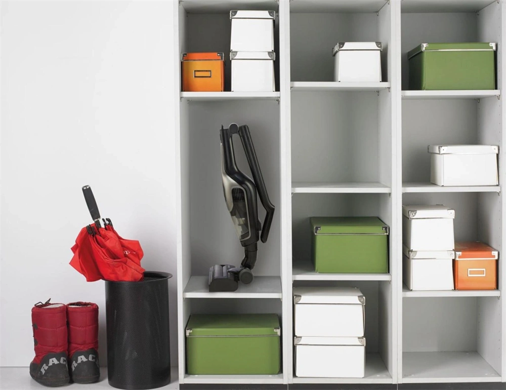 Gorenje SVC252110FSIIA vezeték nélküli porszívó