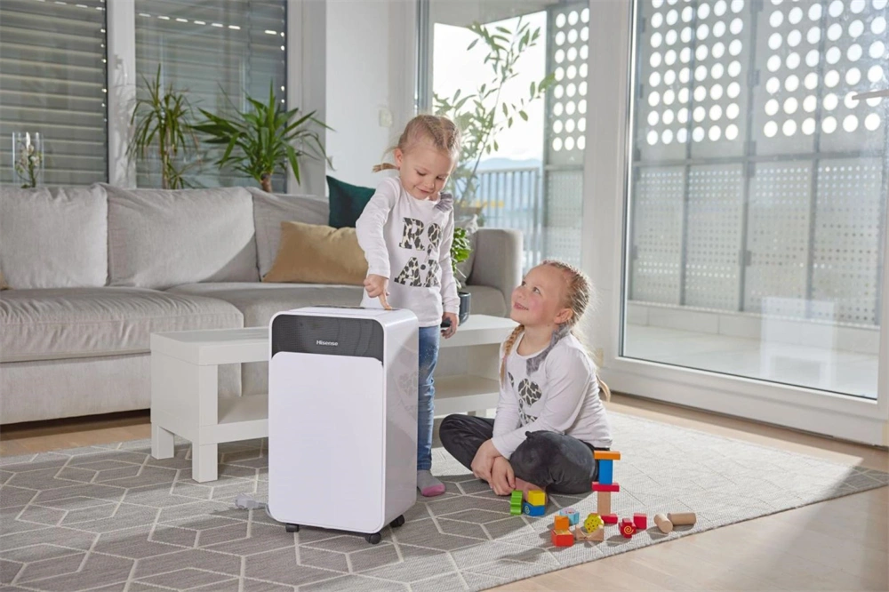 Hisense D16CW páramentesítő