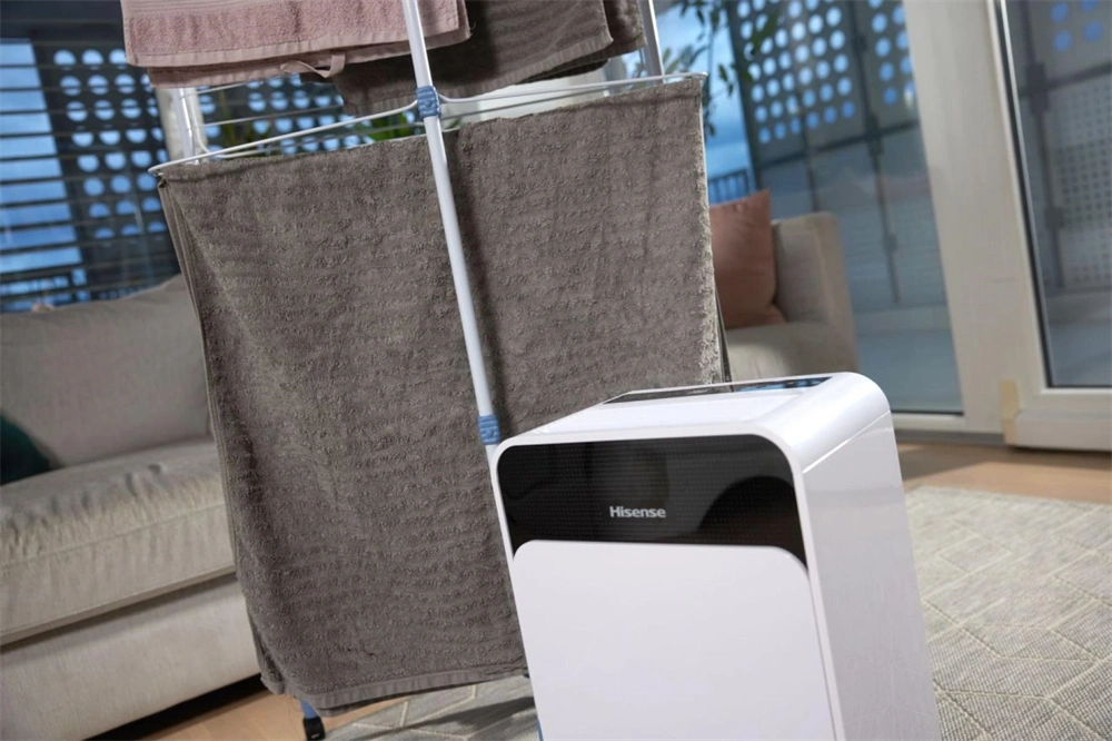 Hisense D16CW páramentesítő