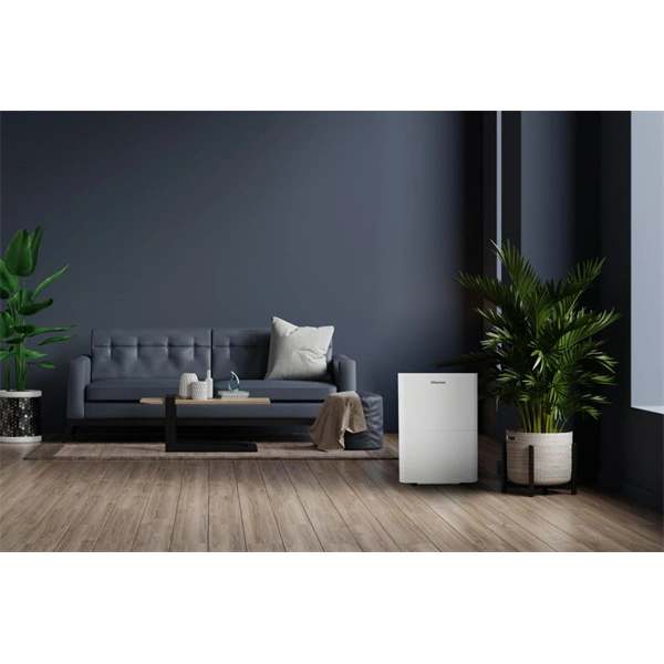 Hisense D20HW páramentesítő