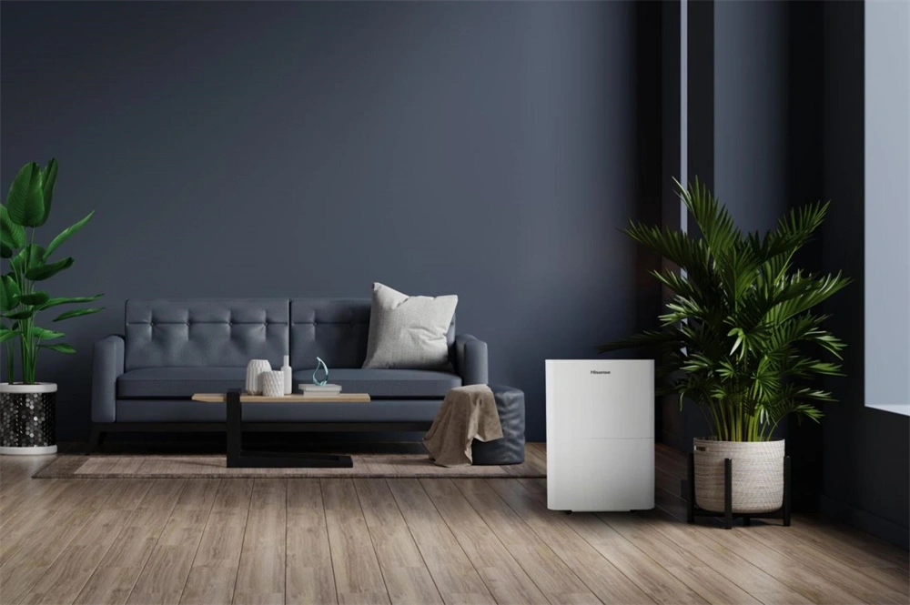 Hisense D20HW páramentesítő