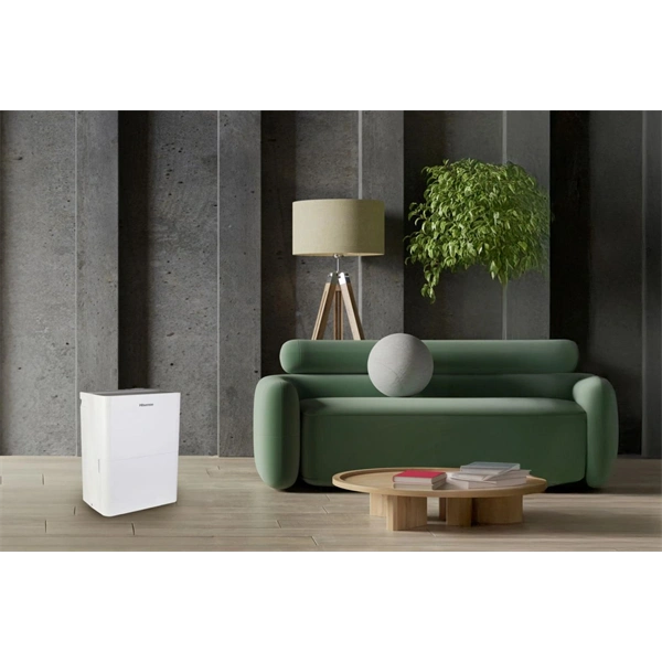 Hisense D20HW páramentesítő