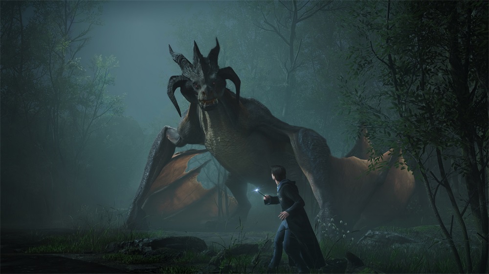 Hogwarts Legacy PS4 játékszoftver