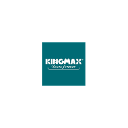 KINGMAX SSD M.2 500GB Solid State Disk, PQ4480, NVMe x4, Gen4